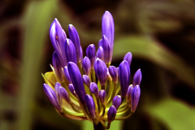 曼联不被看好时却有好的结果。