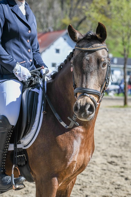 及范围最广 及范围最广