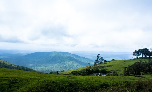 梅西与瓜迪 梅西与瓜迪
