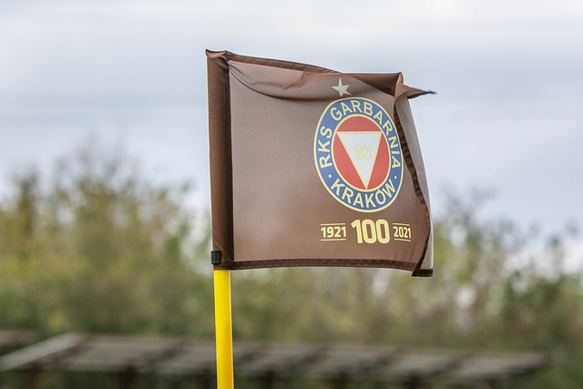 呈现出两极 呈现出两极